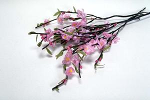 【飲み放題＆最新機器完備】カラオケビッグエコーの魅力と店舗情報完全ガイド