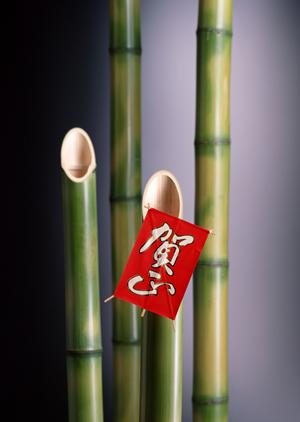 TOKAIモバイルショップの総合ガイド：サービス内容と店舗情報について徹底解説